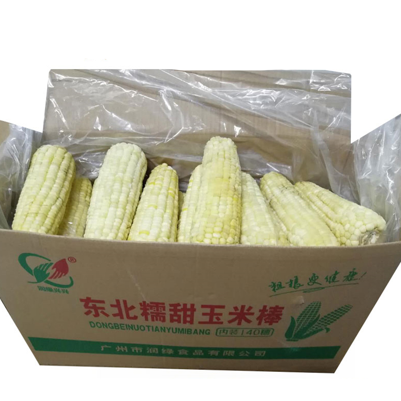 東北糯甜白玉米棒 冷凍蔬菜批發(fā)